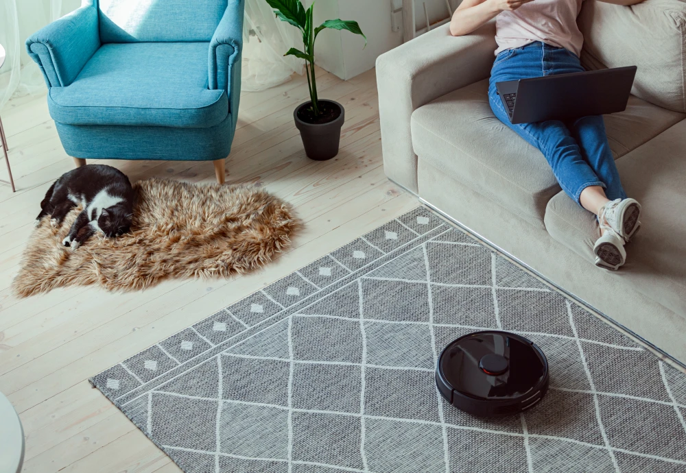 sweeping robot intelligent vacuum cleaner